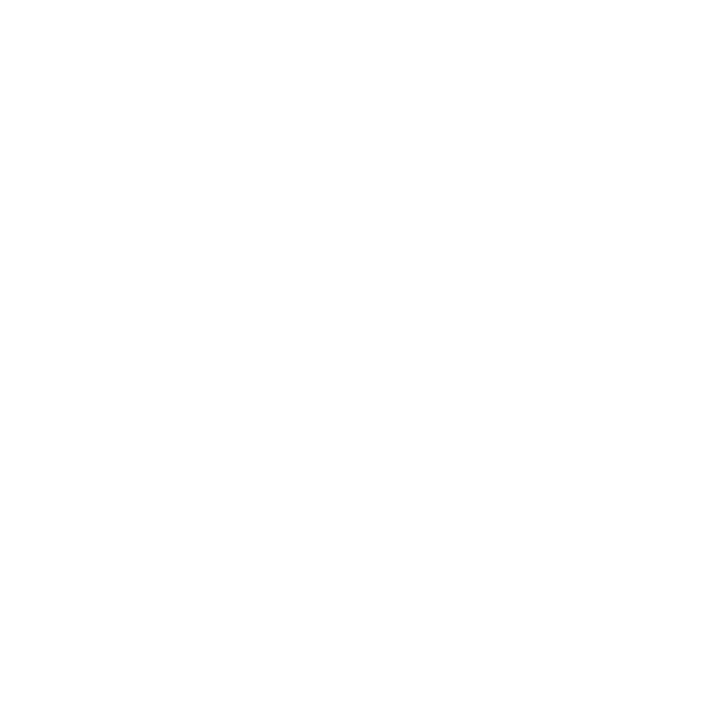 CSS 3 icon