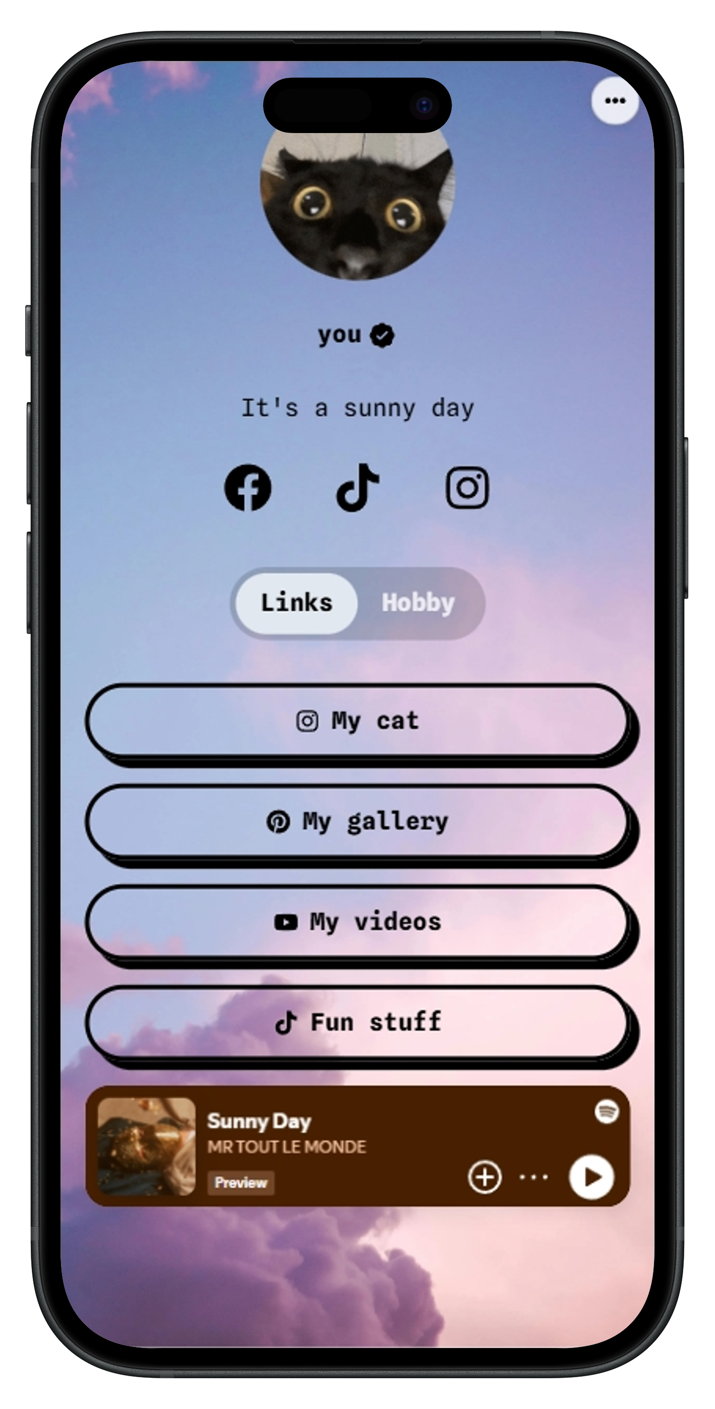 Linksy Profile on iPhone 16